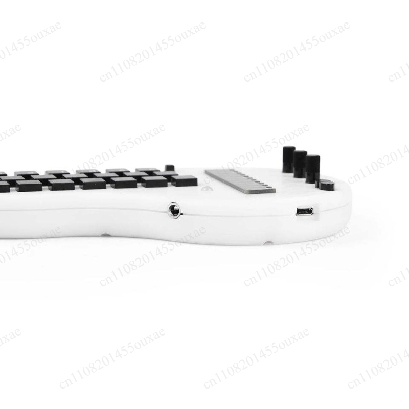 Musical Instrument Synthesizer - Synthétiseur Minichord Open Source avec 21