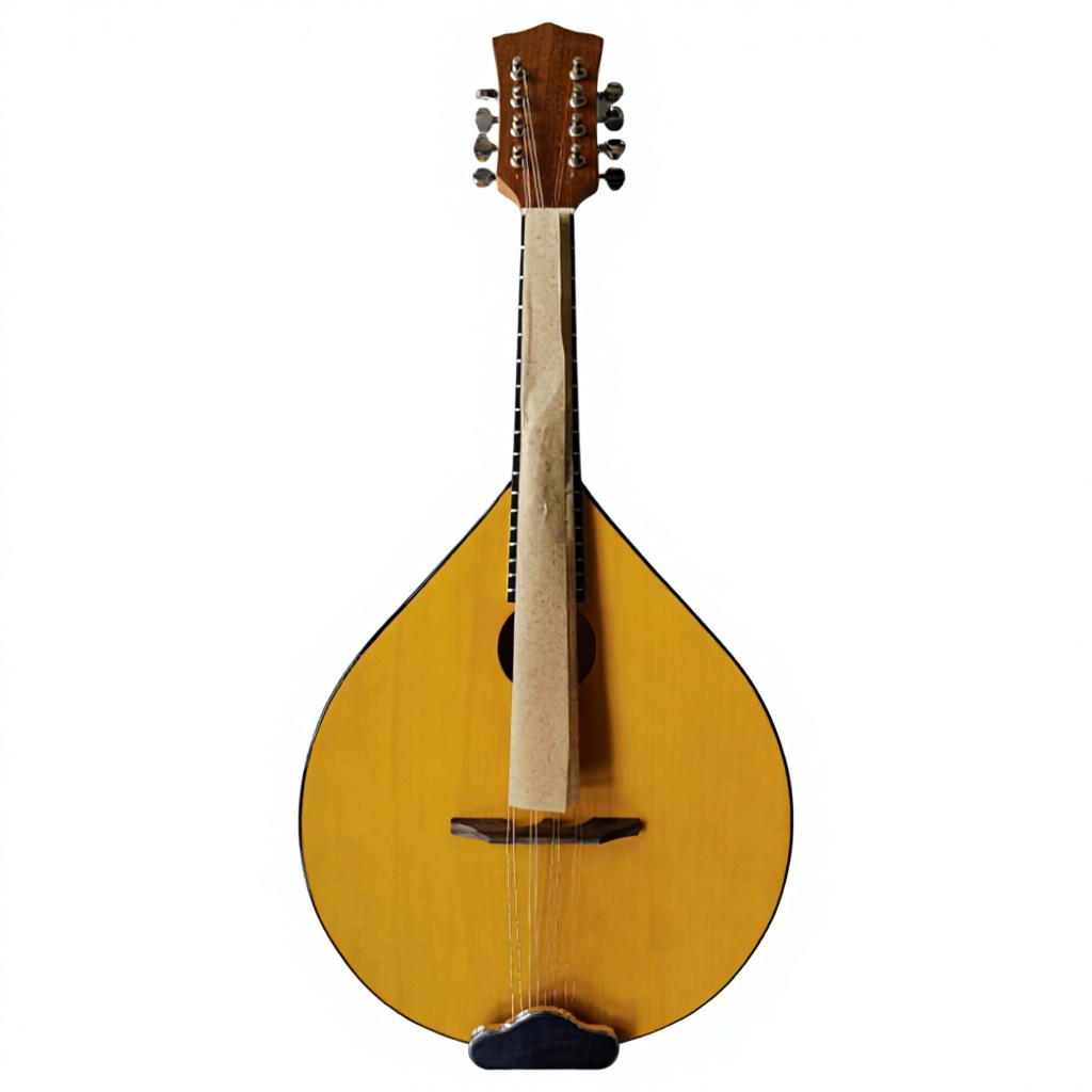 Musical Instrument Banjo - Banjo acoustique à 8 cordes, dos