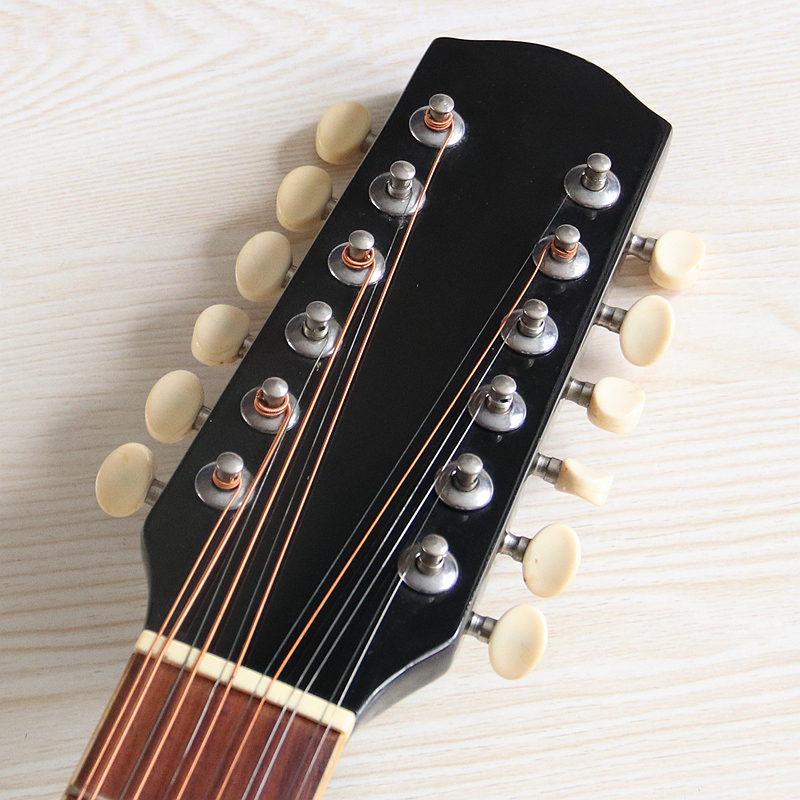 Guitare électro-acoustique 12  - Dobro Resonator Guitar avis et prix