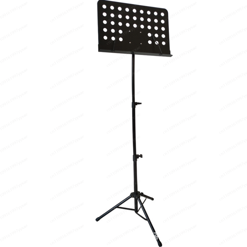 Pupitre de musique professionn - Musical Instrument Guzheng avis et prix