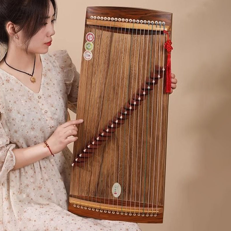 70/100cm petit Guzheng Portabl - Musical Instrument Guzheng avis et prix